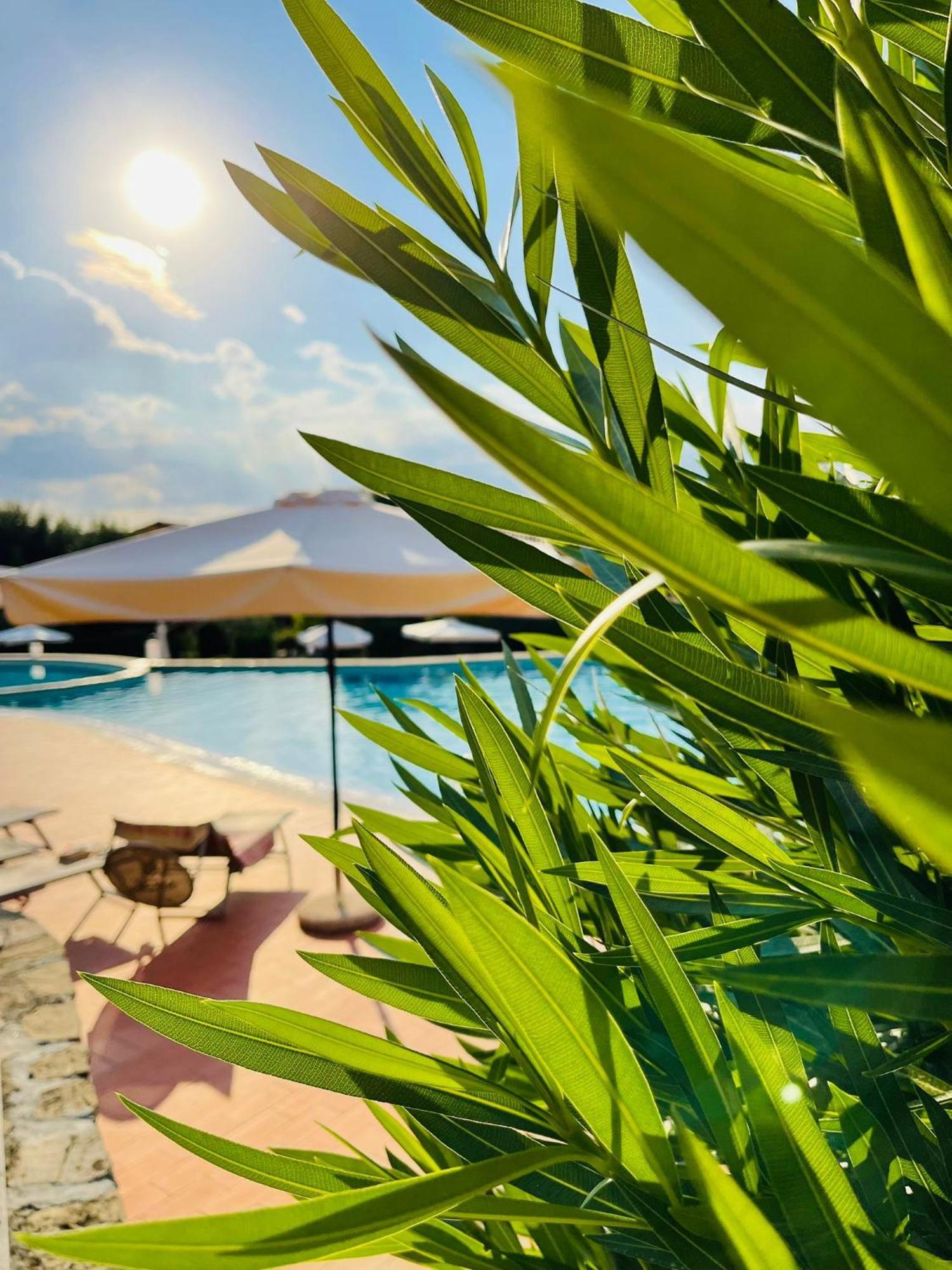Ferienwohnung Borgo Del Torchio - Gardagate Manerba del Garda Exterior foto